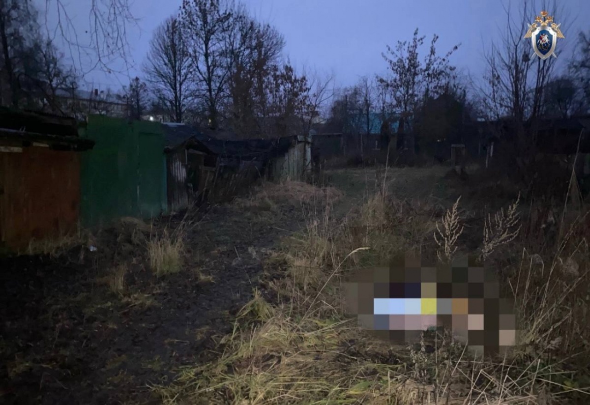 Нижегородцу вынесли приговор за зверское убийство женщины на улице - фото 1