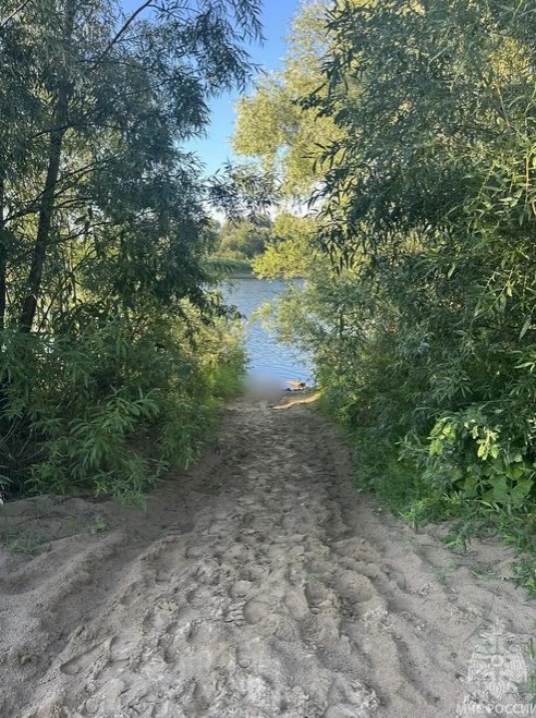 Труп мужчины нашли в Ветлуге в Воскресенском округе - фото 1