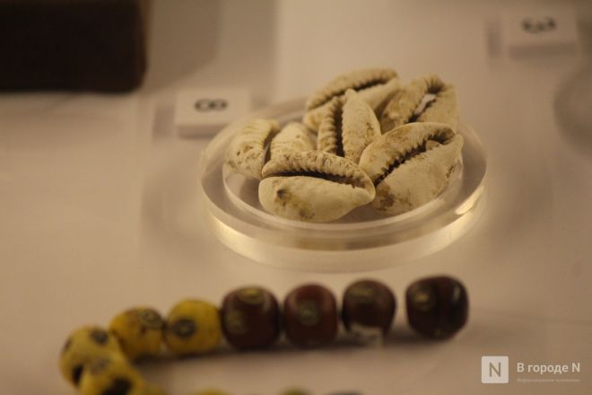Монеты, украшения и боевые топоры: фоторепортаж с выставки археологических находок в Нижнем Новгороде - фото 23