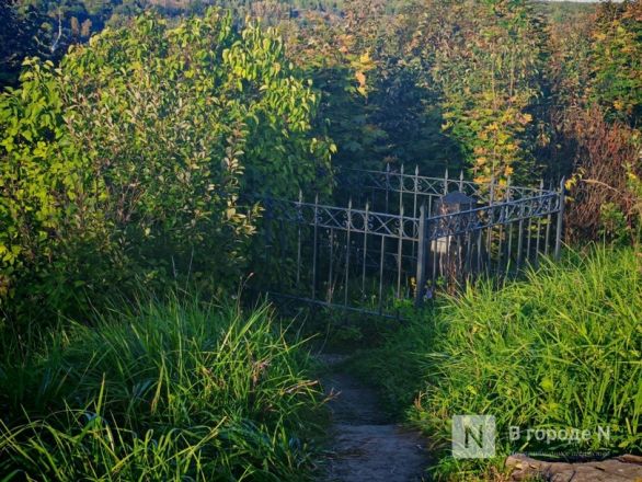 Город с открытки: почему Плес привлекает туристов и стоит ли вообще туда ехать - фото 53