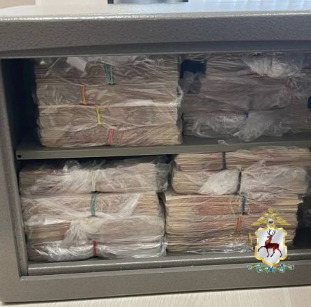 50 000 000 рублей наличными нашли в коттедже главврача ГКБ №33 Зубеева - фото 2