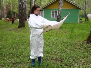 Более 940 га нижегородских парков, лесов и кладбищ обработают от клещей