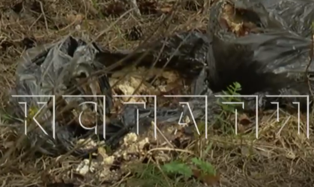 Свалку из останков животных обнаружили жители Сормовского района - фото 1