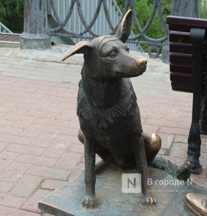 Город хвостатых скульптур: где в Нижнем Новгороде появились новые памятники животным - фото 18