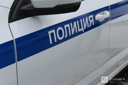 Полиция начала проверку после нападения на детей в нижегородском парке