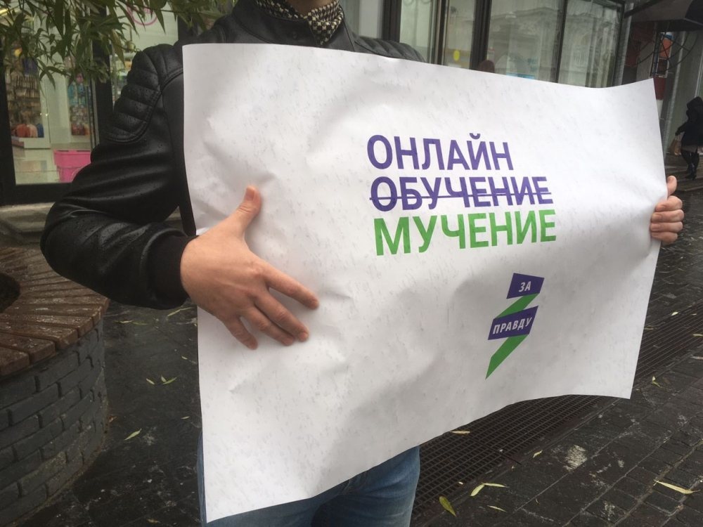 Акции против онлайн-обучения прошли в Нижегородской области - фото 1