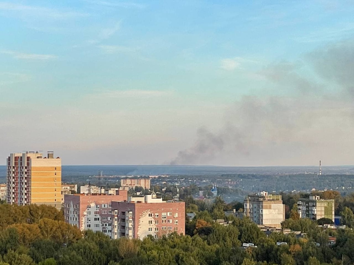 Артемовские Луга вспыхнули в Нижегородской области - фото 1