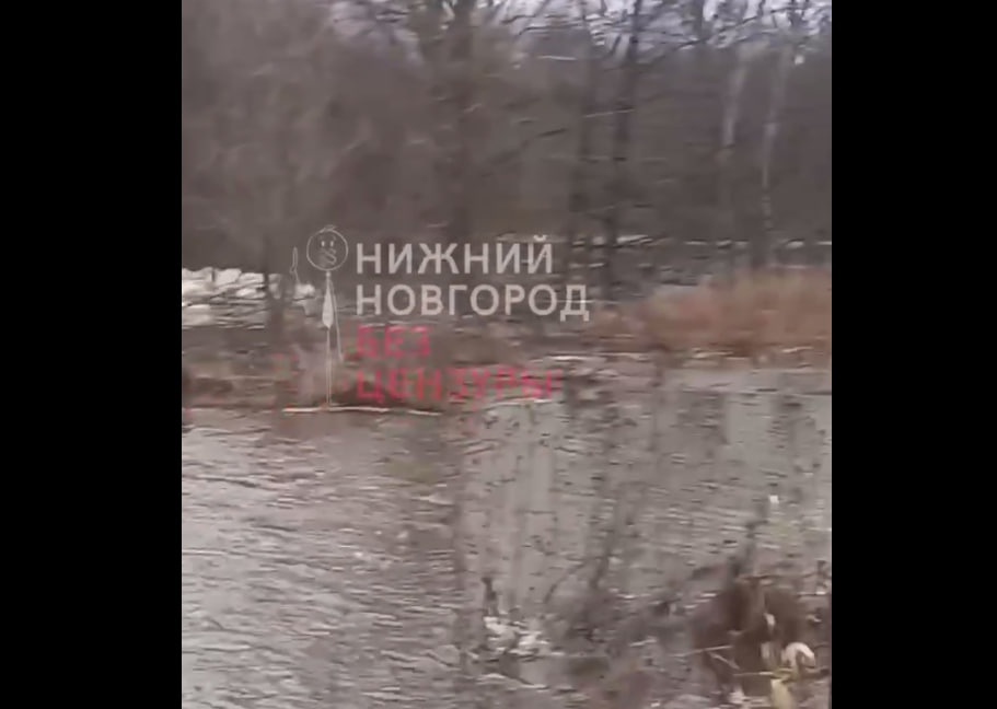 Двух человек разыскивают в реке в Нижегородской области - фото 1