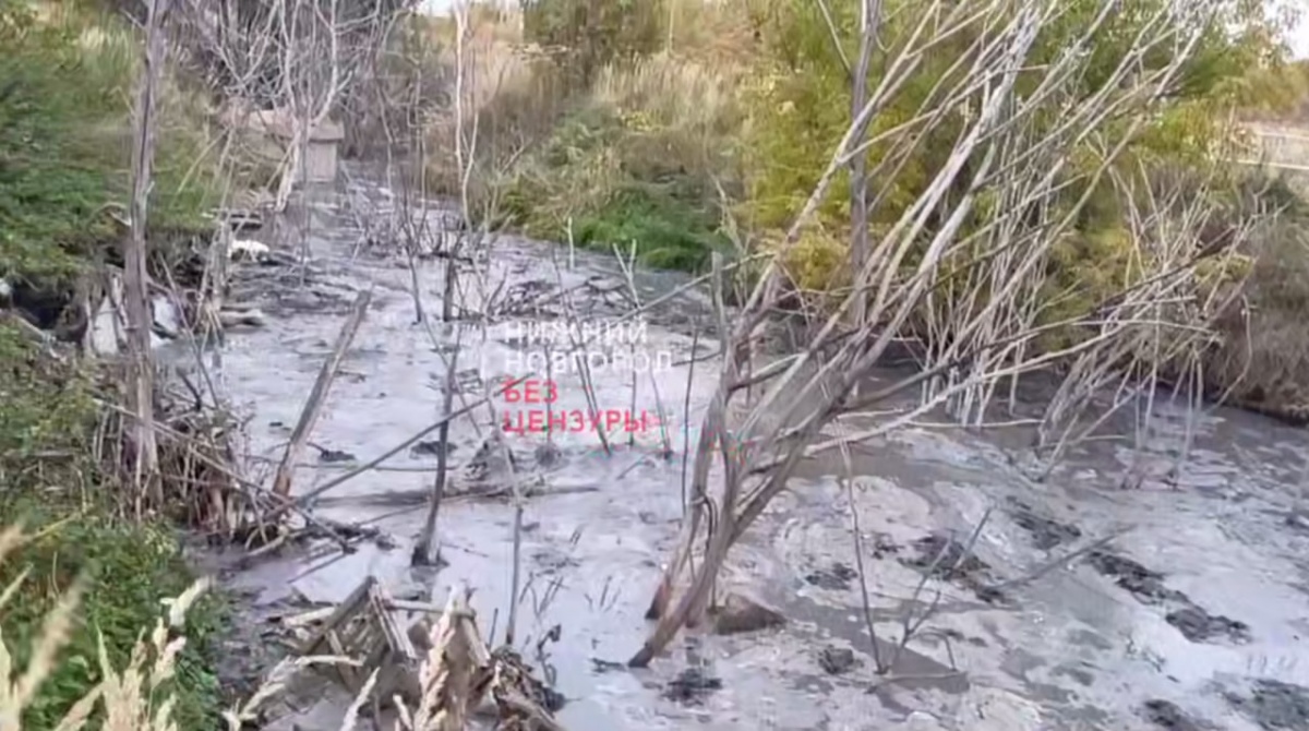 Нижегородцы заявили об экологической катастрофе в Богородском округе - фото 1