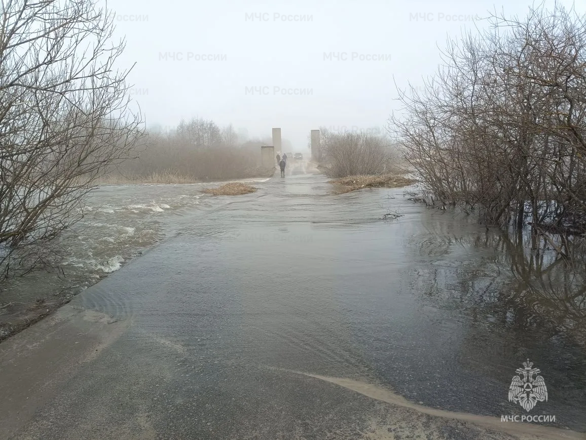 В МЧС отчитались о паводковой обстановке в Нижегородской области 4 апреля - фото 1