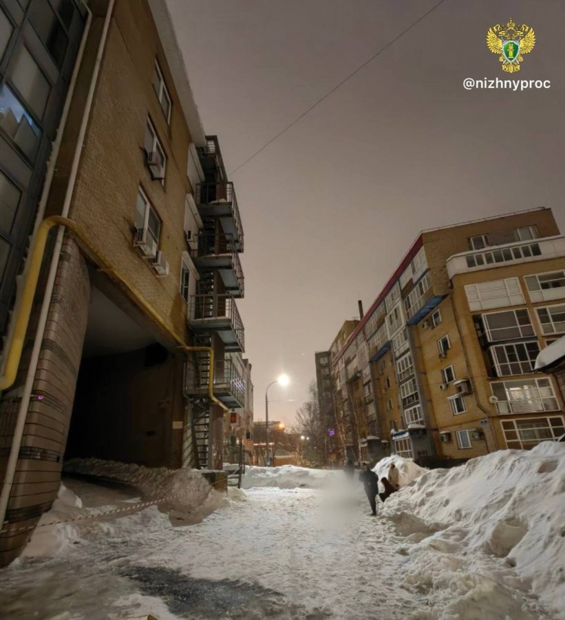 Уголовное дело возбудили после гибели юной нижегородки из-за схода глыбы льда - фото 1