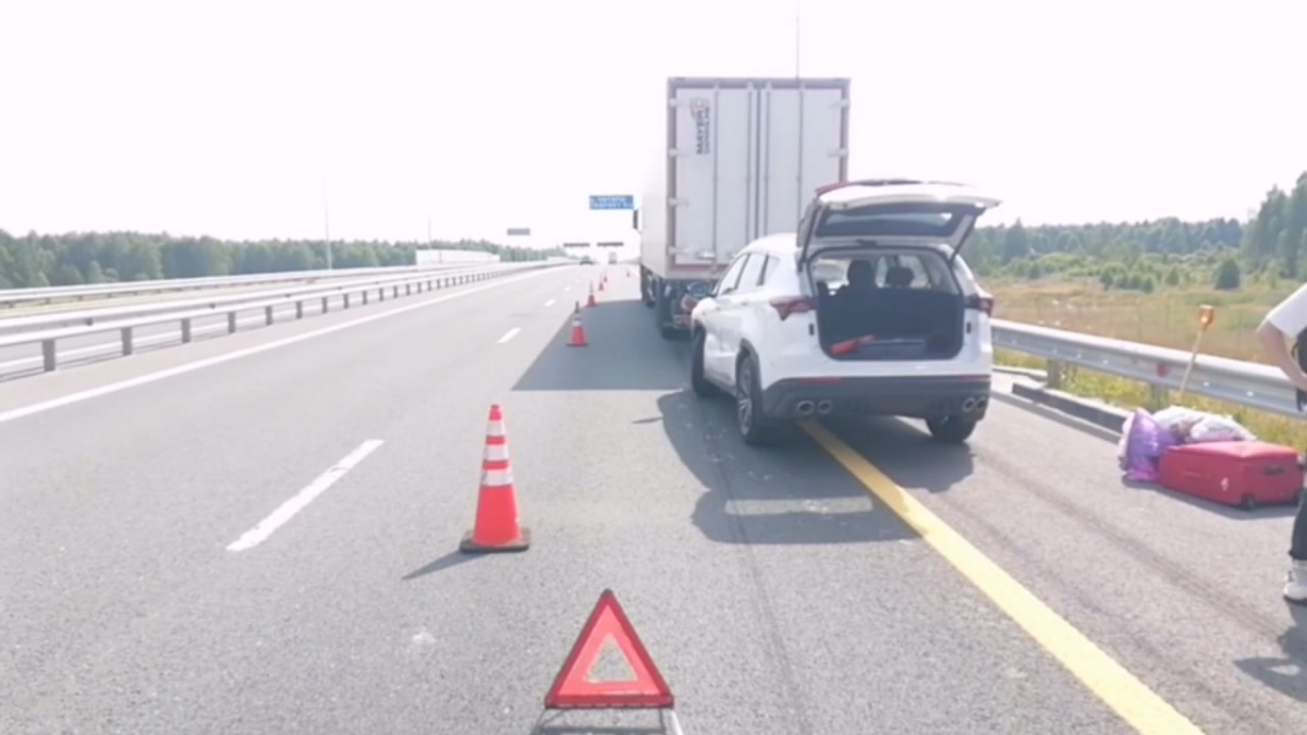 Младенец пострадал в ДТП на М-12 под Арзамасом из-за уснувшего водителя - фото 1