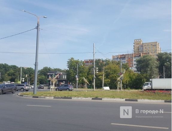 Световые автомобили, стрекозы и одуванчики появились в Нижнем Новгороде - фото 3