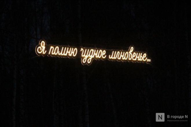 Пингвины, карусель и лунный каток: карта самых атмосферных новогодних локаций Нижнего Новгорода - фото 78