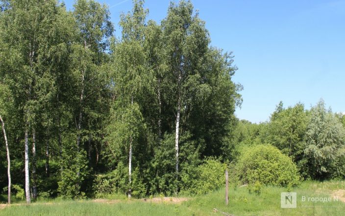 И здесь будут высотки: как выглядит площадка под КРТ в Бурнаковской низине - фото 32