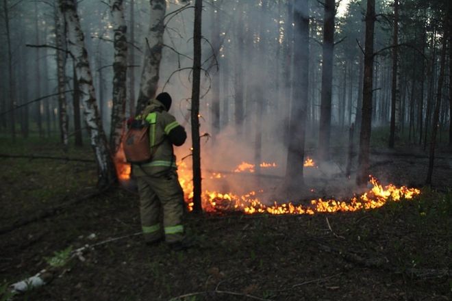 Пожар произошел в Керженском заповеднике из-за удара молнии - фото 4