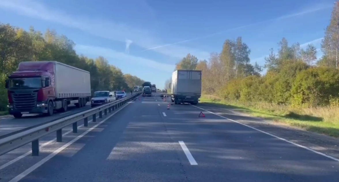 Мотоциклист погиб в ДТП с грузовиком в Нижегородской области - фото 1