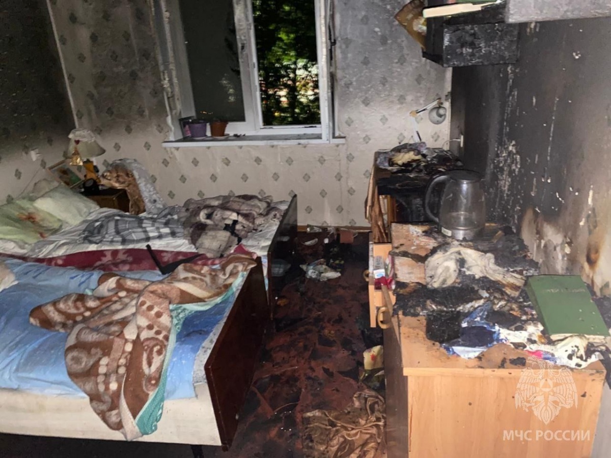 Двое 88-летних нижегородцев погибли в страшном пожаре из-за электрокамина - фото 1