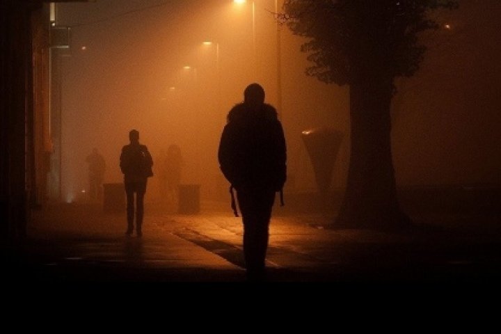 Нижегородца задержали за сексуальное нападение на жительницу Дзержинска