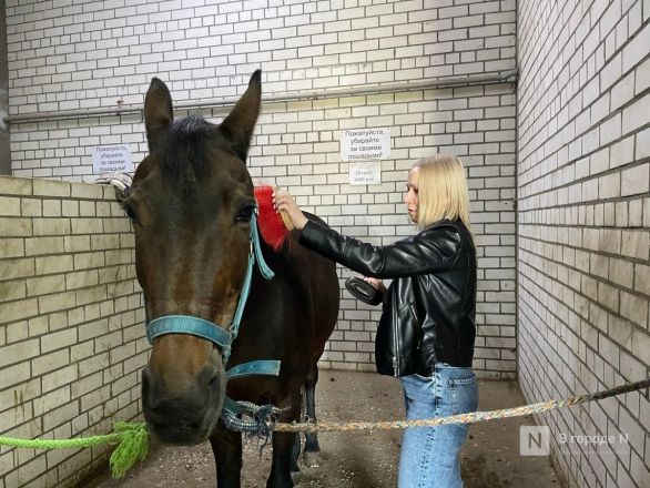 Любишь кататься &ndash; люби и потрудиться: Нижегородские журналисты провели день в конюшне - фото 10