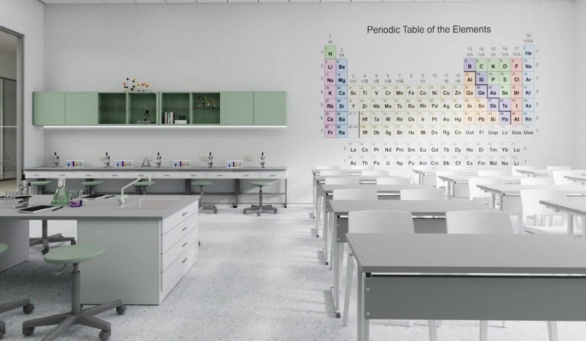 Школа для одаренных детей на Бору: почему ее называют скандальной и что сейчас происходит на стройке - фото 2