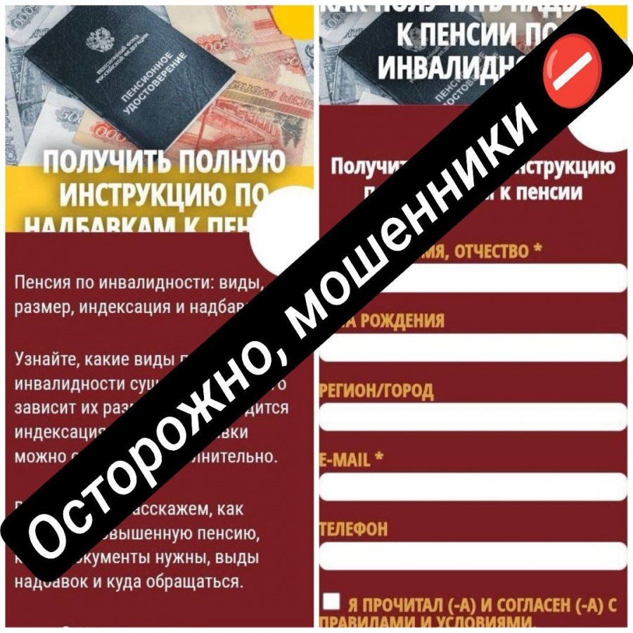 Депутат Гриневич предупредила о заманивающих прибавками к пенсии мошенниках - фото 1