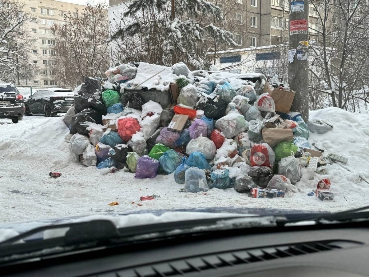 Нижегородцы массово сообщают о &laquo;мусорном коллапсе&raquo; на улицах  - фото 1