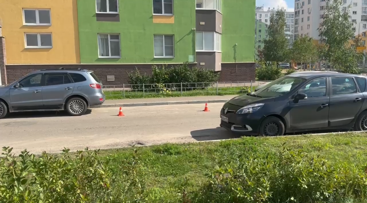 Автомобилист сбил 9-летнего ребенка в Нижнем Новгороде и скрылся с места ДТП - фото 1