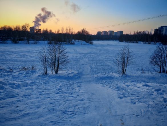 Аномальные морозы в Нижнем Новгороде: фоторепортаж из заснеженных парков - фото 38
