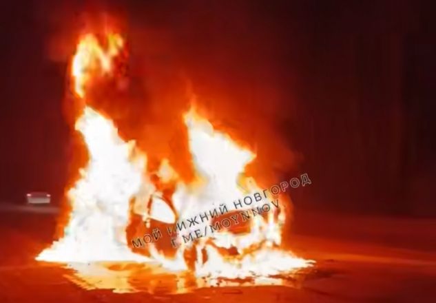 Иномарки загорелись после лобового столкновения в Нижегородской области - фото 1