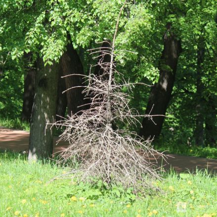 И снова провал: что не успели отремонтировать в Нижнем Новгороде после зимы — фоторепортаж - фото 23