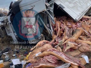 Фура с тушами свиней перевернулась около Стригинского моста