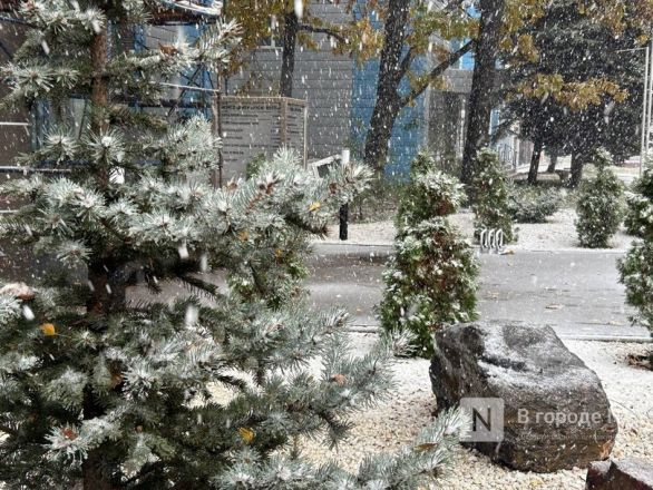 Снежная буря и сильный ветер накрыли Нижний Новгород днем 17 октября - фото 3