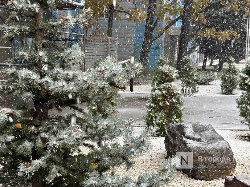 Минусовая температура и небольшой снег ждут нижегородцев на предстоящей неделе - фото 1