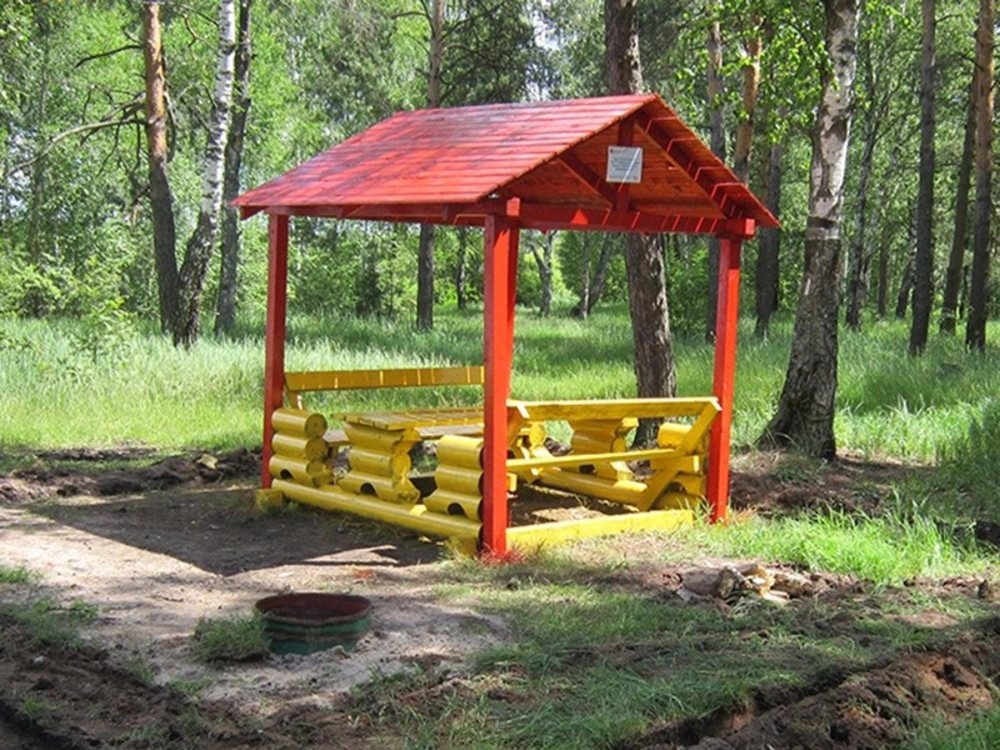 Более 2,5 тысяч мест для отдыха благоустроено в нижегородских лесах - фото 1