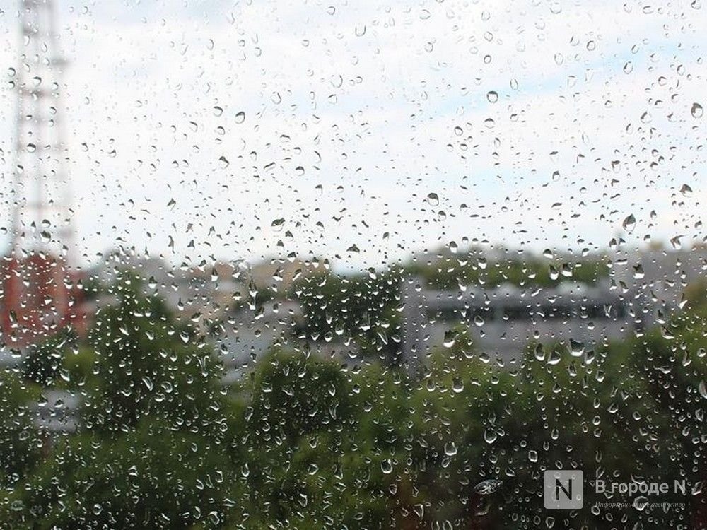 Потепление до +8&deg;С и дожди придут в Нижний Новгород в выходные - фото 1