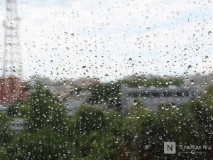 Потепление до +8°С и дожди придут в Нижний Новгород в выходные