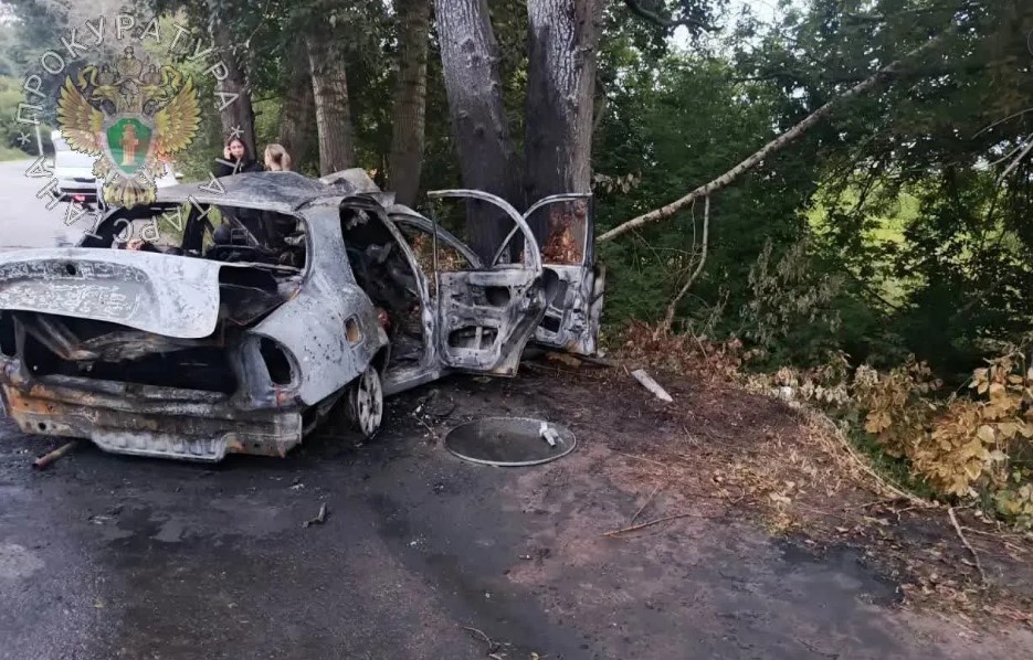 Шестеро подростков погибли в жутком ДТП в Татарстане - фото 1