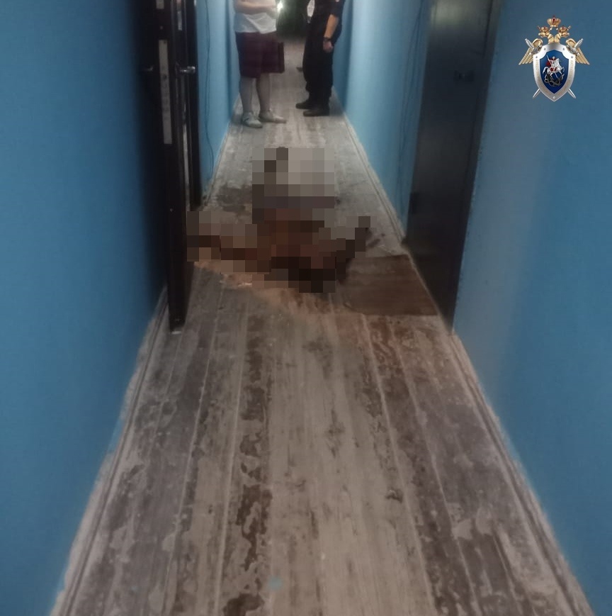 14-летнего нижегородского гимназиста подозревают в убийстве соседа - фото 1