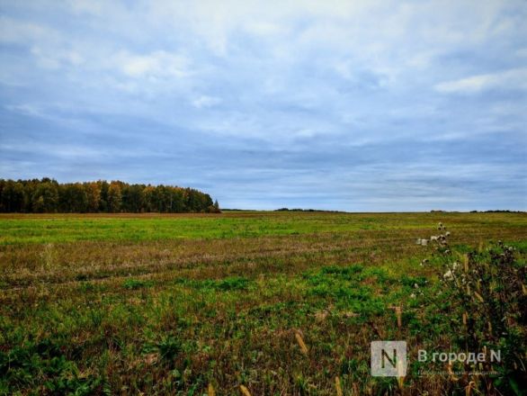 Та самая пушкинская осень: уютный фоторепортаж из Большого Болдина - фото 69