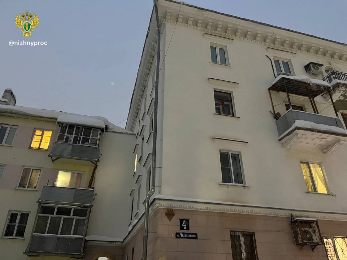 Раскрыты подробности инцидента с падением наледи на ребенка в Нижнем Новгороде - фото 1