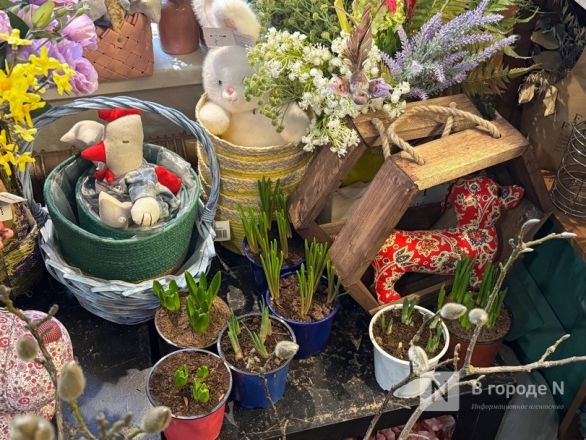 Мужчины, готовьтесь. Рассказываем, сколько стоят цветы к 8 марта в Нижнем Новгороде - фото 39