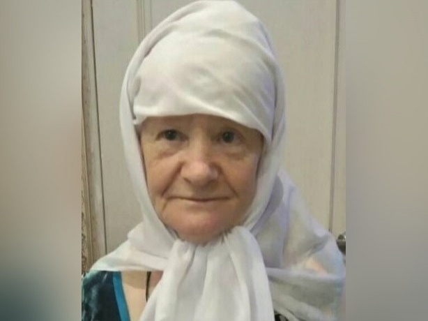 Пенсионерка с болезнью Альцгеймера пропала в Дивеевском районе - фото 1