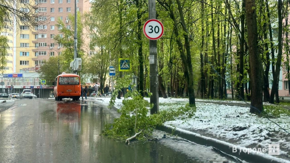 Майский снегопад повалил деревья и оборвал провода в Нижнем Новгороде - фото 1