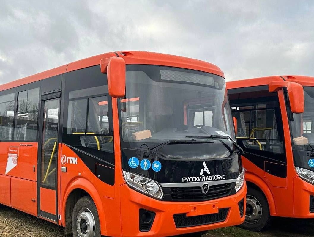 Еще 50 новых автобусов доставили в Нижегородскую область - фото 1