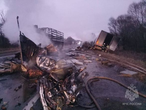 Прокуратура работает на месте смертельного ДТП с фурами в Нижегородской области - фото 4