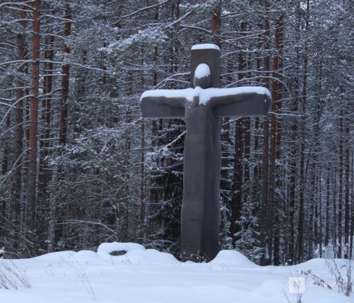 Каньон, марморики и калитки: нижегородка рассказала о плюсах и минусах отдыха в Карелии зимой - фото 28