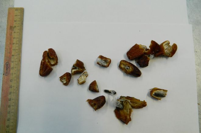 Партию фиников с наркотиками внутри накрыли в СИЗО Нижнего Новгорода - фото 1