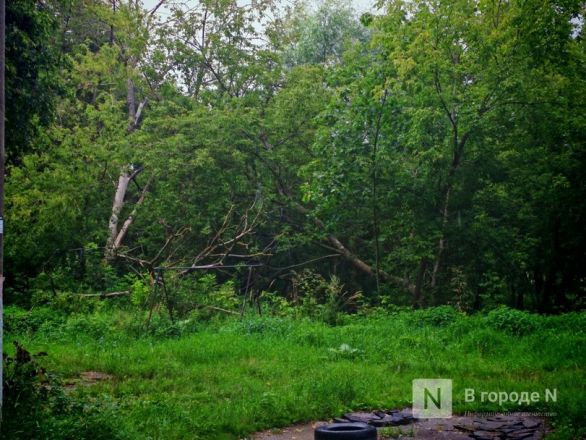 Вторая пошла: как выглядят места, где появится новая канатная дорога в Нижнем Новгороде - фото 21