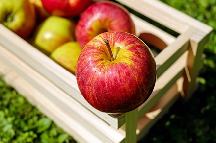 В Роскачестве рассказали, как выбрать самые вкусные яблоки